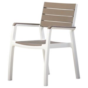 Silla de Polimadera con Brazos 1092